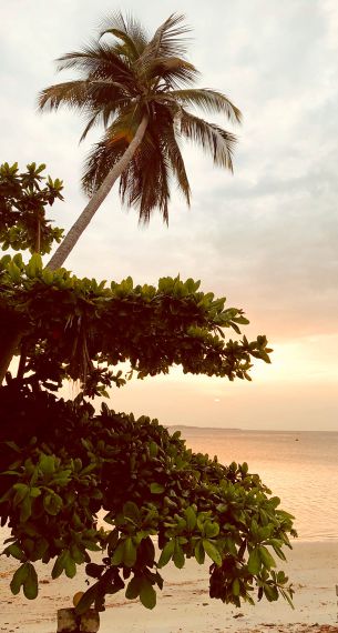 Insel Pemba Sonnenuntergang am Strand